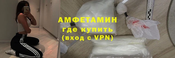 прущие грибы Надым