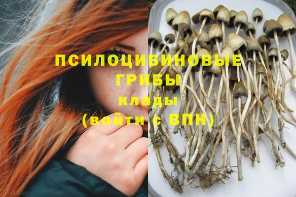 хмурый Алексеевка