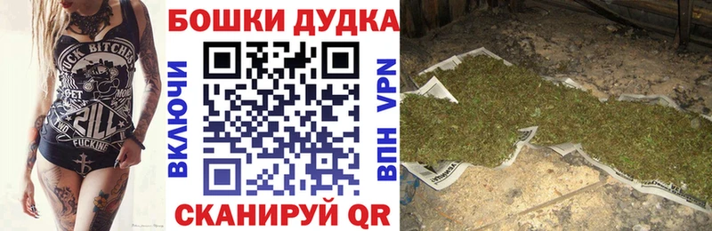 где найти наркотики  Сорочинск  Бошки марихуана конопля 